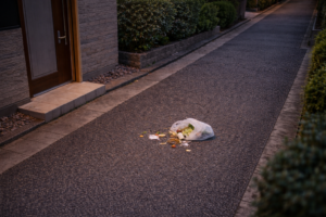 Another Lesson Learned from Garbage and Noise Complaints in Tokyo
