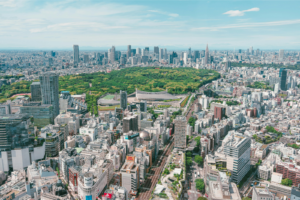 Should You Buy Property in Japan as an Individual or Through a Japanese Company?