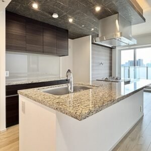 Wellith Roppongi – Unit 1704